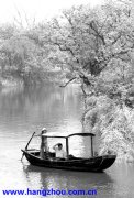  美好景观：西溪探梅在杭州西湖旅游史上也曾有过篇章